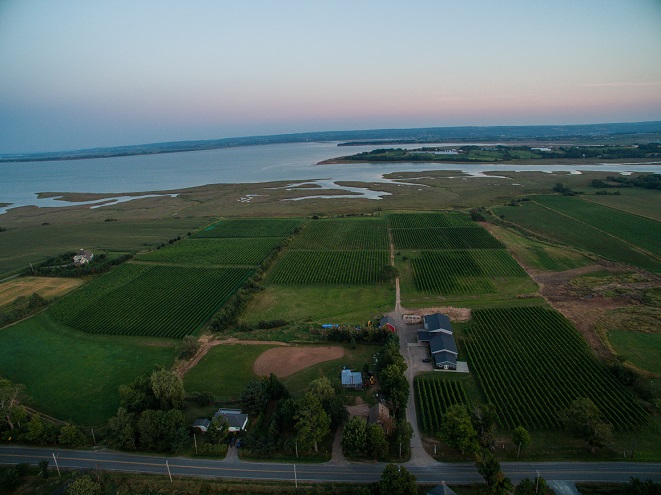 Blomidon aerial